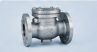 Check Valves